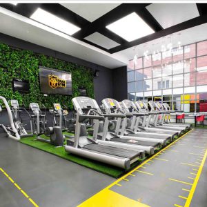 سالن ورزشی لیدی پاد