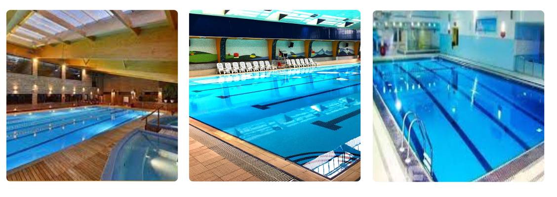 مجموعه ورزشی گل نرکس