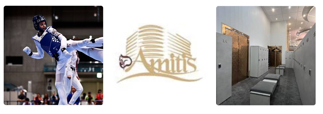 سالن ورزشی آمیتیس