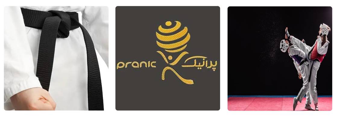 سالن ورزشی پرانیک