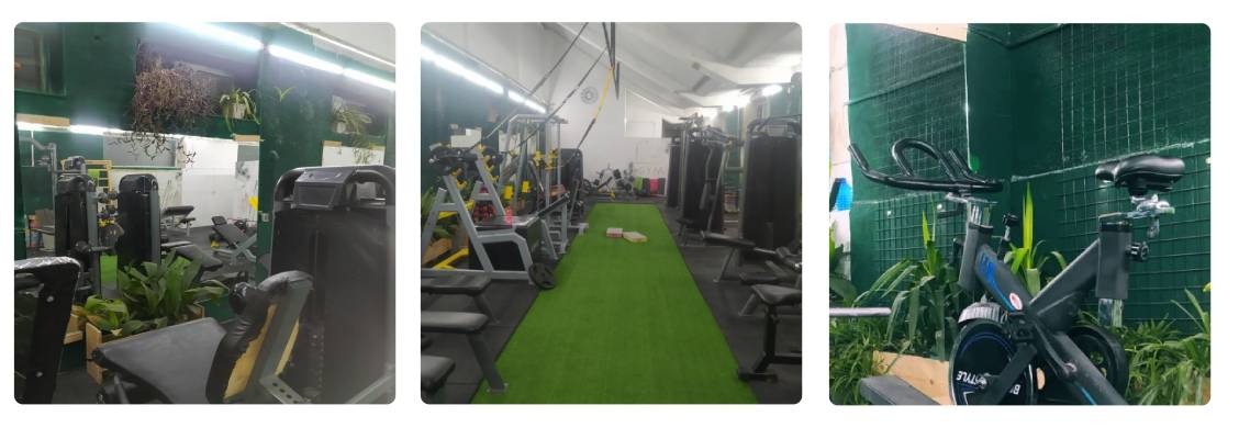 سالن ورزشی تندرستی سبز