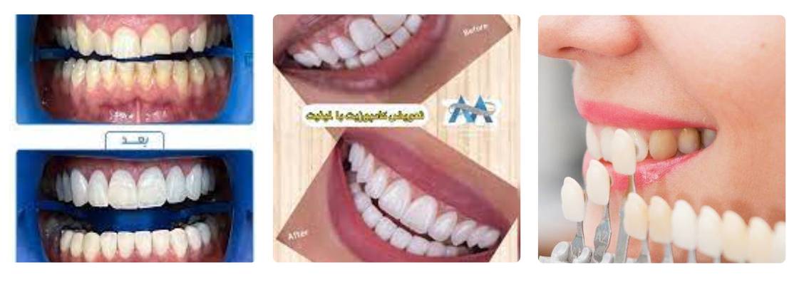 دکتر علیرضا افراشی