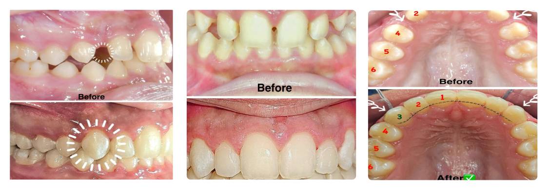 دکتر میلاد شاه محمدی