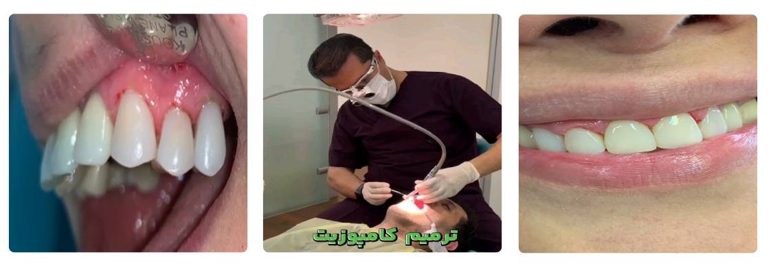 دکتر سید حمید طالبی