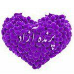 باشگاه یوگا پرنده آزاد