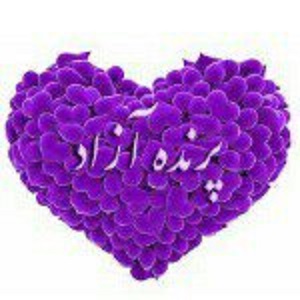 باشگاه یوگا پرنده آزاد