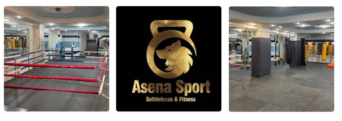 باشگاه آسنا